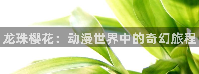 volcanicage漫画：龙珠樱花：动漫世界中的奇幻旅程