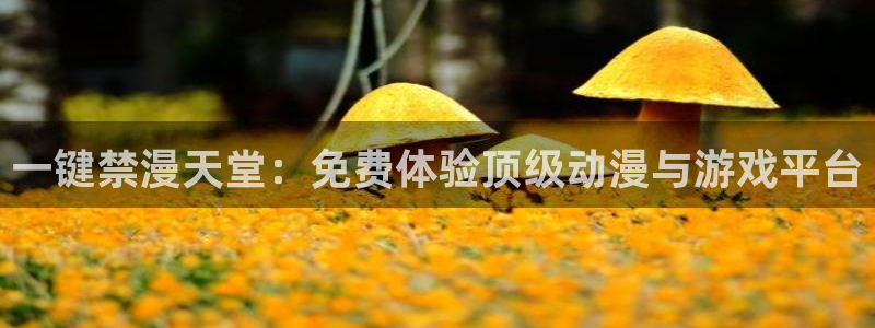 volcanicage漫画：一键禁漫天堂：免费体验顶级动漫与游戏平台