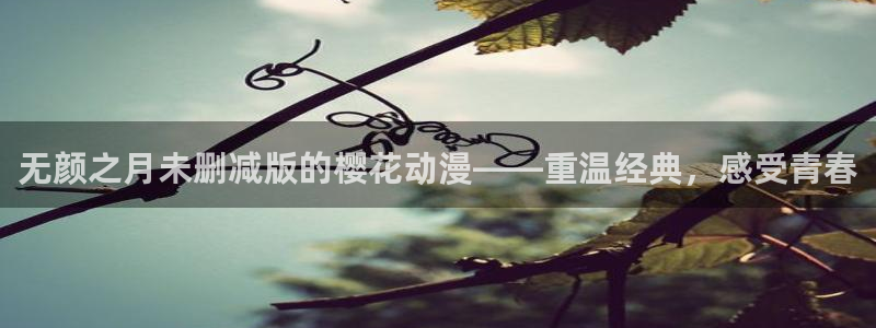 动漫天堂网上看：无颜之月未删减版的樱花动漫——重温经典，感受青春