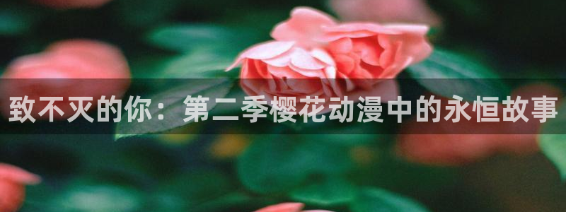 韩国漫画平台kakaopage：致不灭的你：第二季樱花动漫中的永恒故事