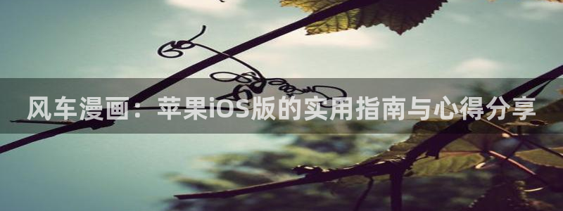 colamanage漫画官网：风车漫画：苹果iOS版的实用指南与心得分享