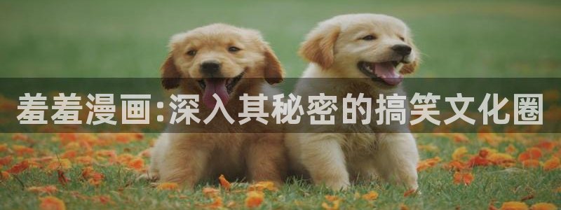 colamanage漫画：羞羞漫画:深入其秘密的搞笑文化圈
