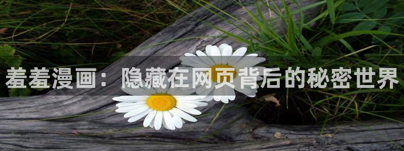 动漫天堂官网在线入口：羞羞漫画：隐藏在网页背后的秘密世界