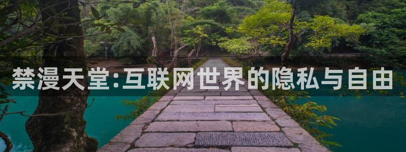 动漫天堂网：禁漫天堂:互联网世界的隐私与自由