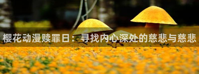 动漫天堂网下载：樱花动漫赎罪日：寻找内心深处的慈悲与慈悲