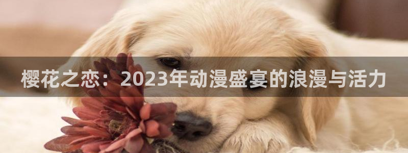 kakaopage韩漫官网：樱花之恋：2023年动漫盛宴的浪漫与活力