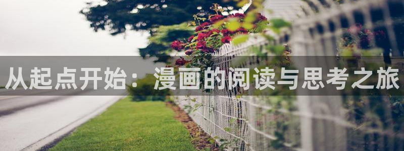 backstage韩漫免费观看：从起点开始：漫画的阅读与思考之旅