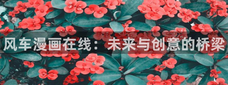 colamanage漫画官网：风车漫画在线：未来与创意的桥梁