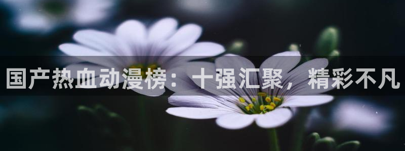 动漫天堂专注动漫的门户网站：国产热血动漫榜：十强汇聚，精彩不凡