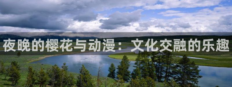 动漫天堂官网樱花动漫：夜晚的樱花与动漫：文化交融的乐趣